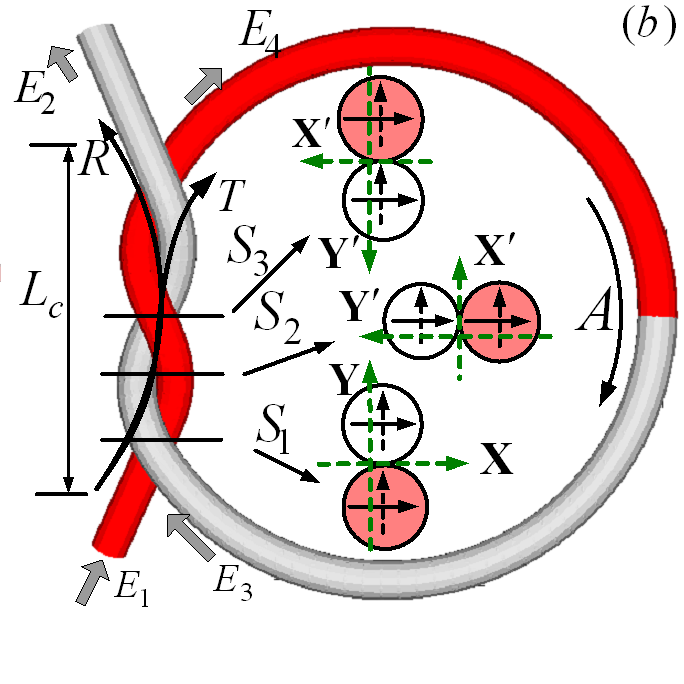 Fig1b